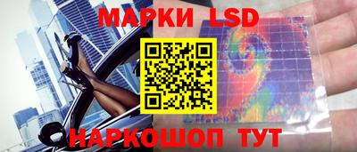 гашик Будённовск