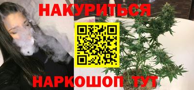 гашик Будённовск