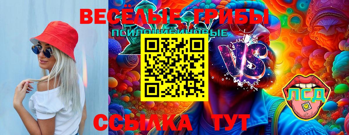 Галлюциногенные грибы MAGIC MUSHROOMS  Вход с VPN  Янаул  Галлюциногенные грибы ЛСД 