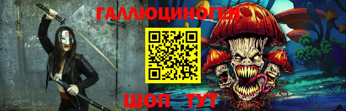 Псилоцибиновые грибы Psilocybe Янаул